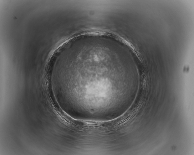 X0000100951448200807011257