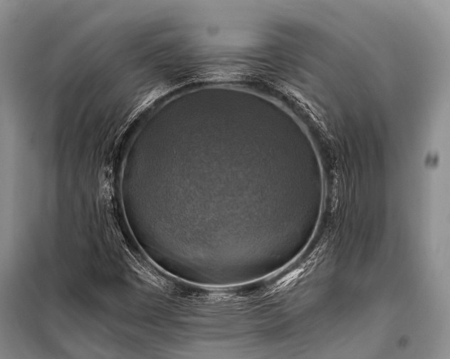 X0000100951449200807011257