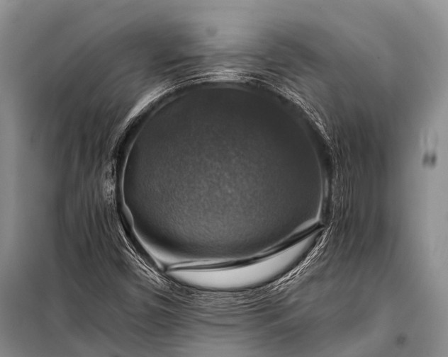 X0000100951450200807011257