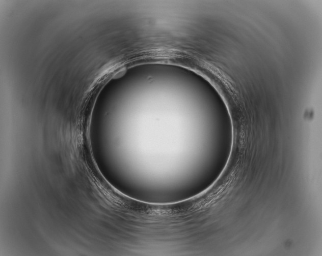 X0000100951451200807011257