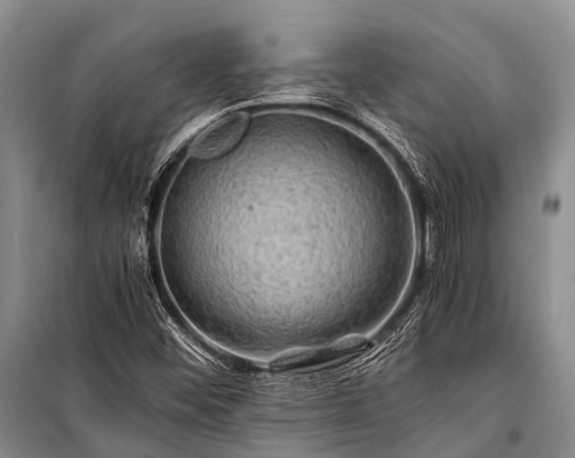 X0000100951452200807011257