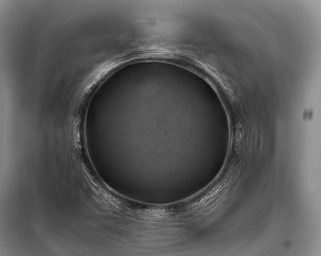 X0000100951455200807011257