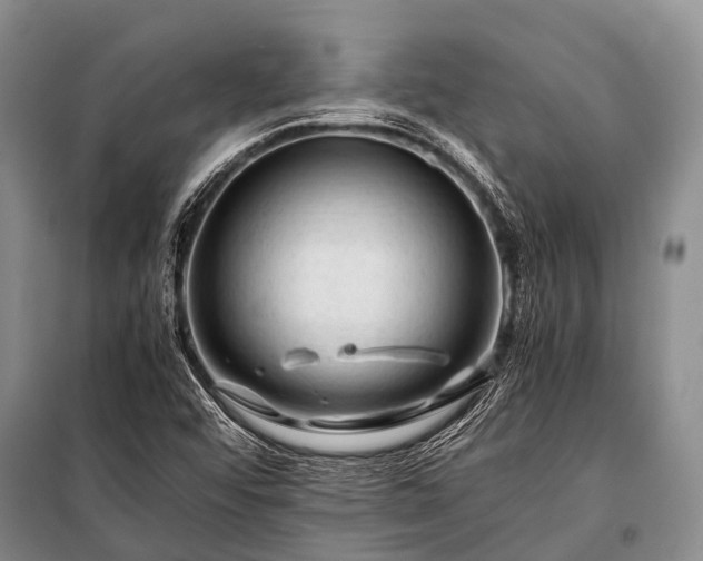 X0000100951456200807011257