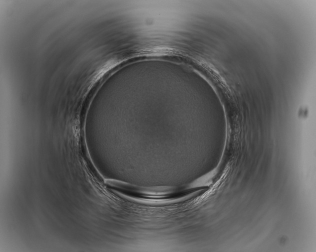 X0000100951457200807011257