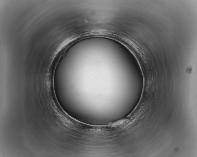 X0000100951458200807011257