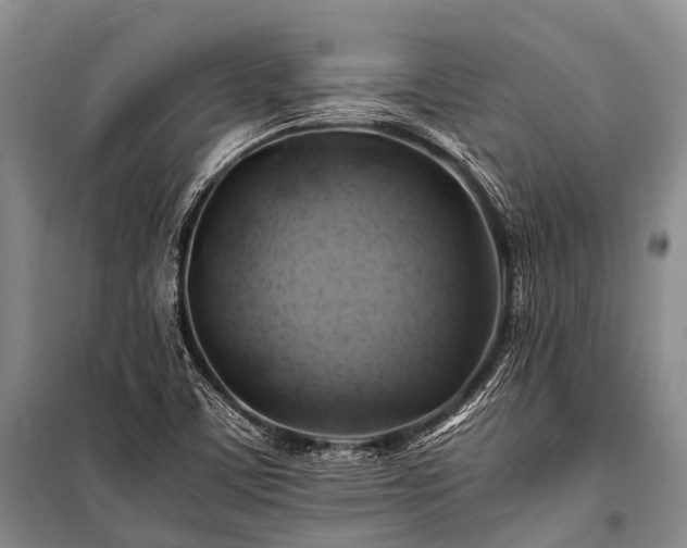 X0000100951459200807011257