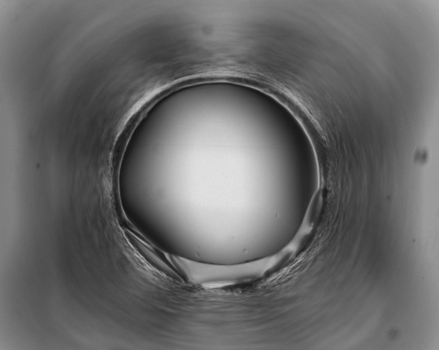 X0000100951460200807011257