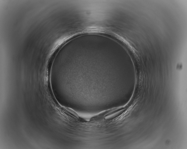 X0000100951461200807011257