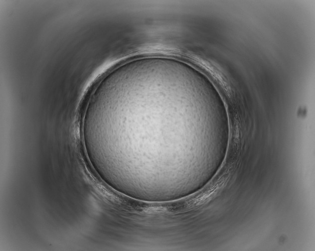 X0000100951462200807011257