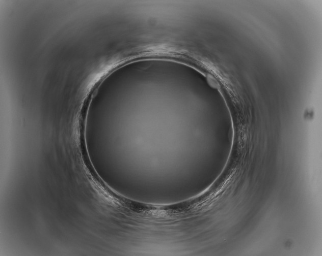X0000100951463200807011257