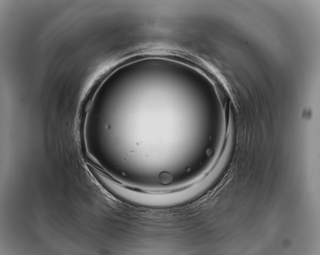 X0000100951464200807011257