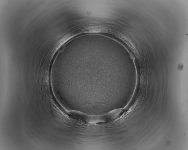 X0000100951465200807011257