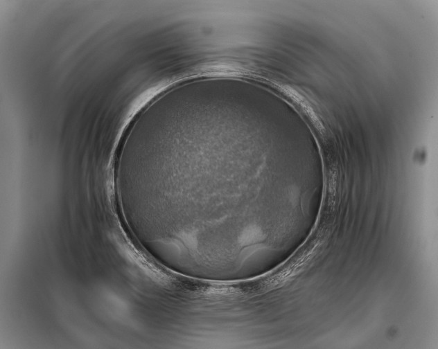 X0000100951466200807011257