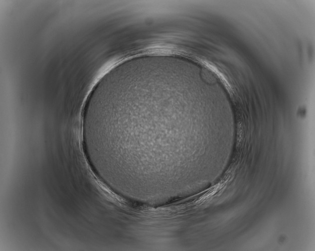 X0000100951467200807011257