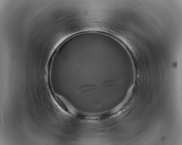 X0000100951468200807011257