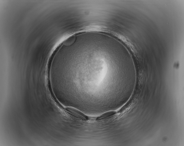 X0000100951469200807011257