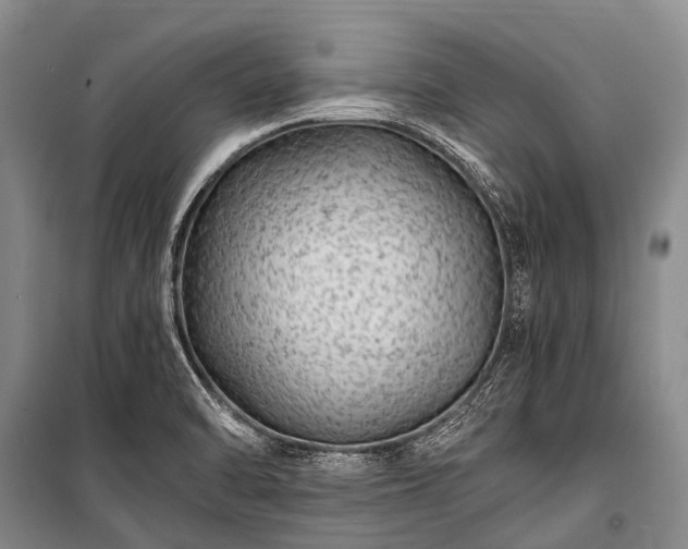 X0000100951470200807011257