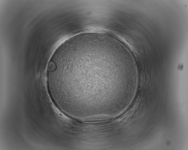 X0000100951471200807011257
