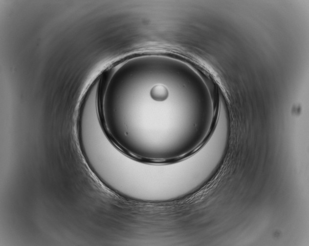 X0000100951472200807011257
