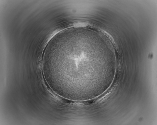 X0000100951473200807011257