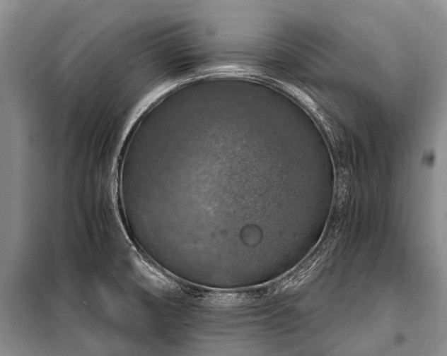X0000100951474200807011257