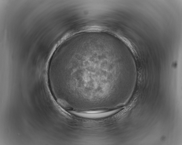 X0000100951475200807011257