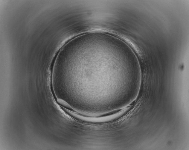 X0000100951476200807011257
