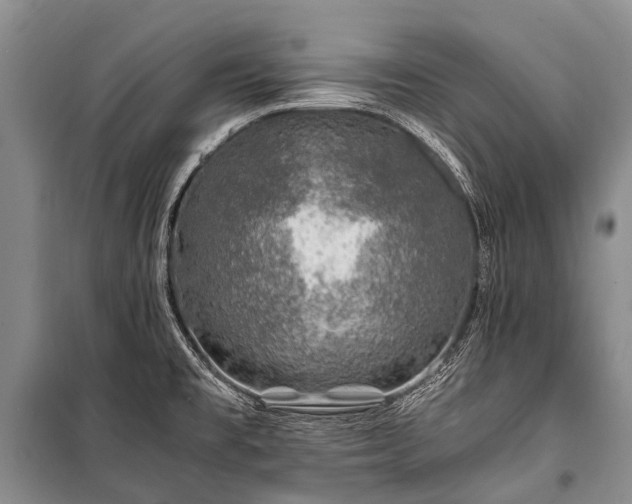 X0000100951477200807011257