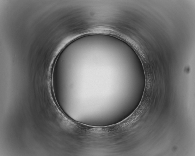 X0000100951478200807011257