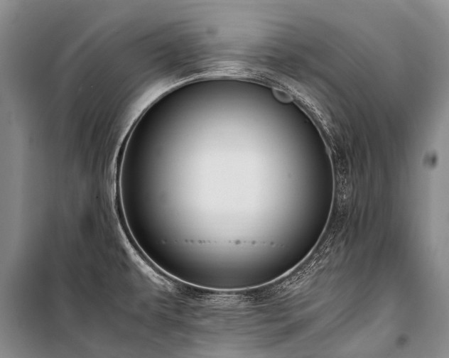 X0000100951479200807011257
