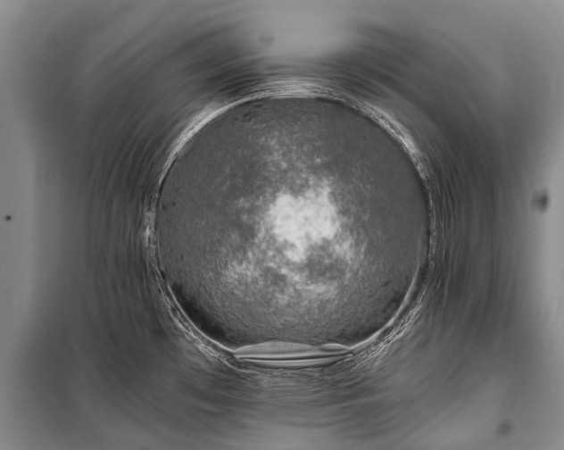 X0000100951481200807011257