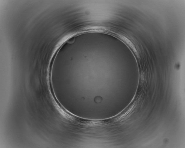 X0000100951482200807011257