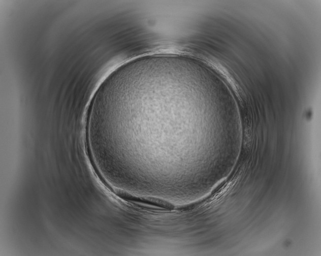 X0000100951483200807011257