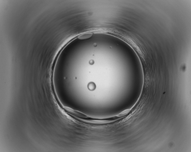 X0000100951484200807011257