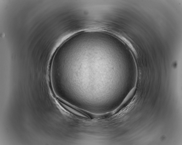 X0000100951485200807011257