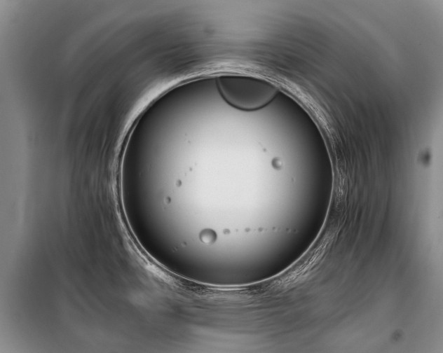X0000100951486200807011257