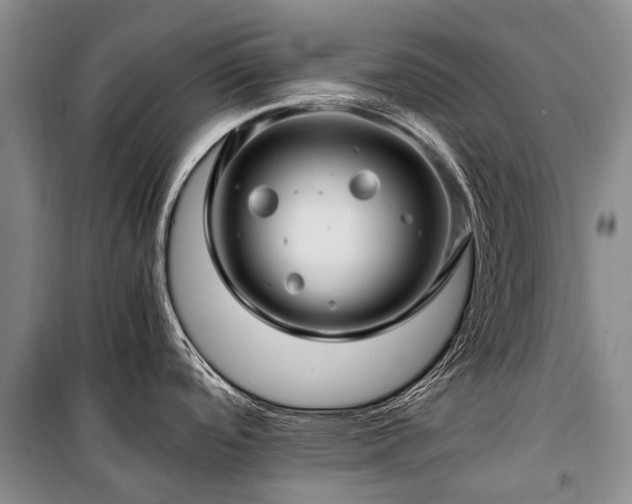 X0000100951488200807011257