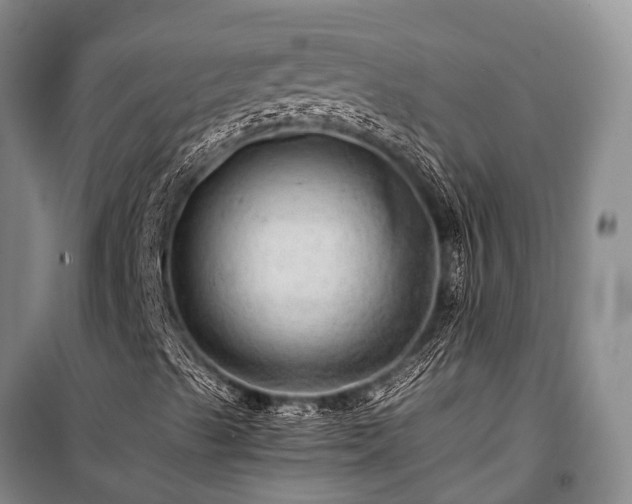 X0000100951489200807011256