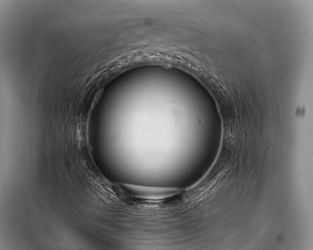 X0000100951490200807011256
