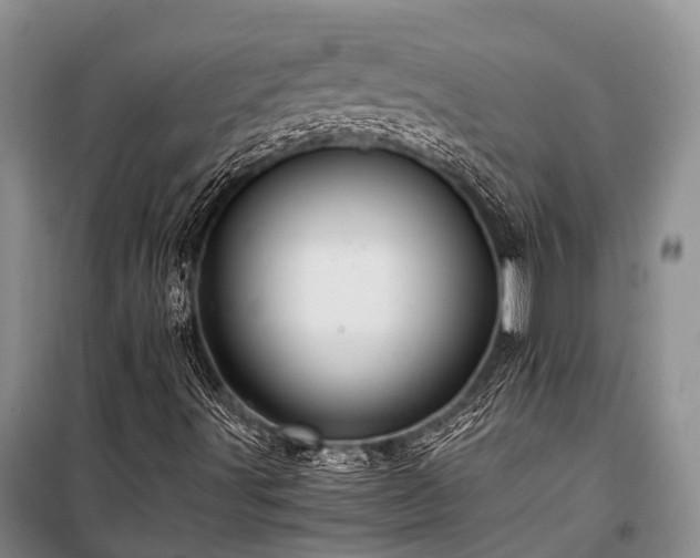 X0000100951491200807011256