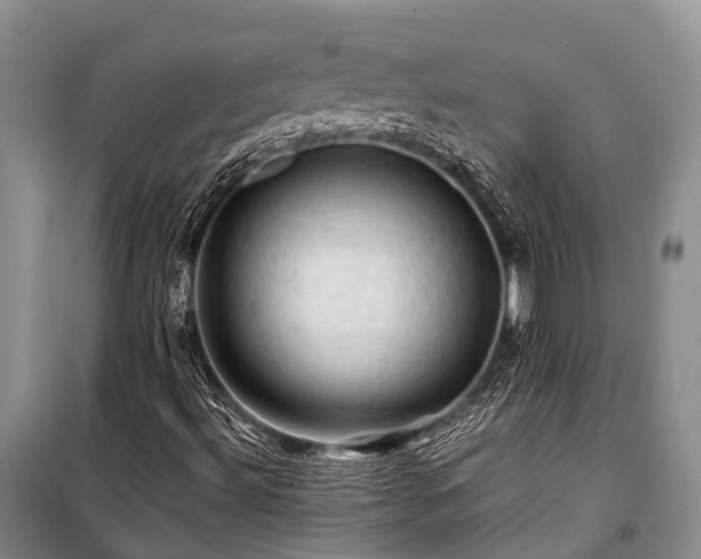 X0000100951492200807011256