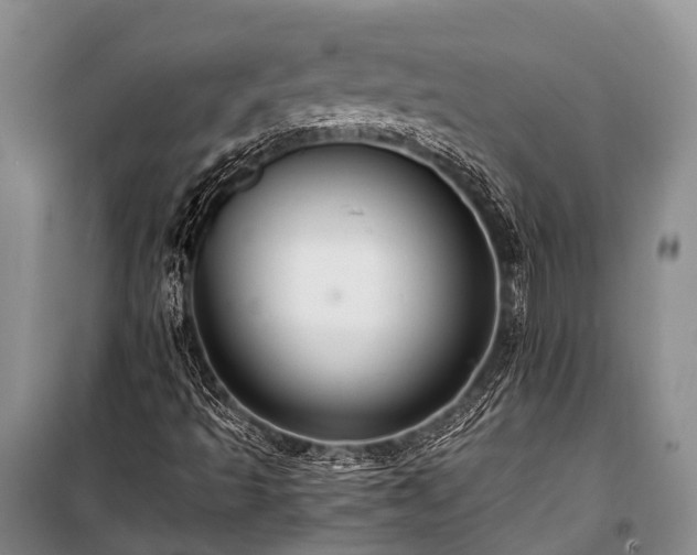 X0000100951493200807011256