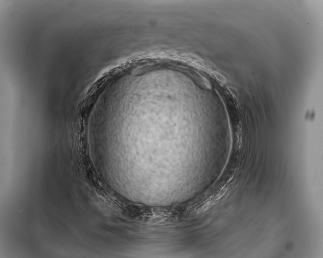 X0000100951494200807011256