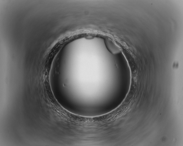 X0000100951495200807011256