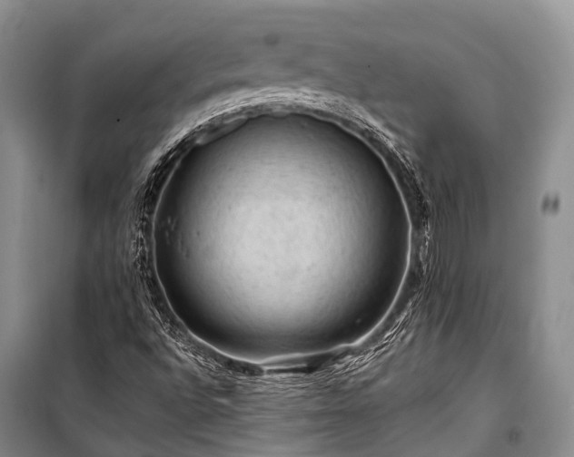 X0000100951496200807011256