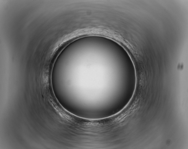 X0000100951499200807011256