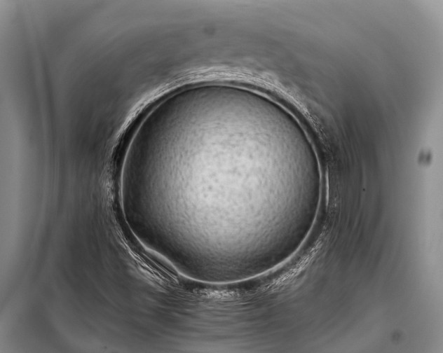 X0000100951501200807011256