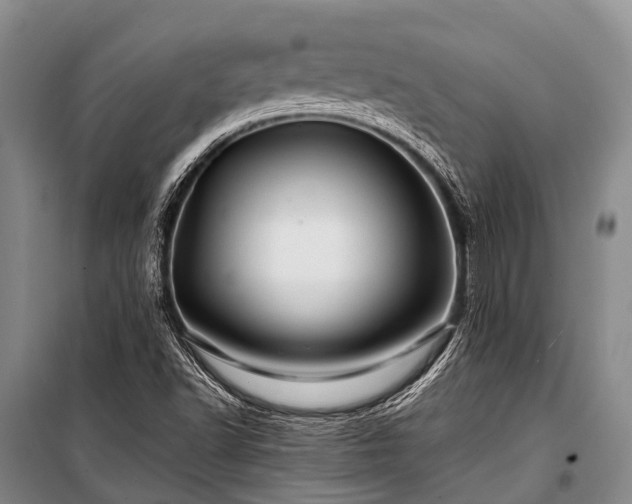 X0000100951502200807011256
