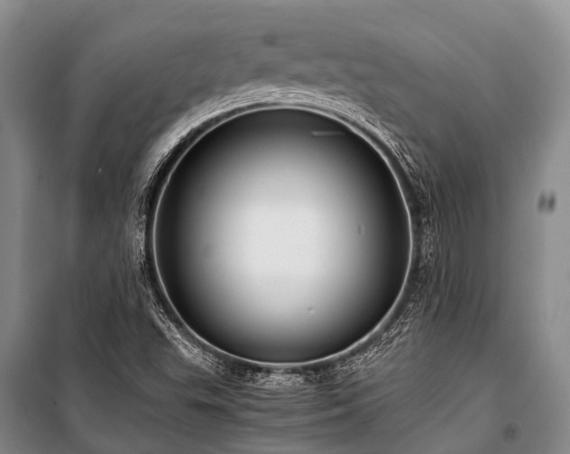 X0000100951503200807011256