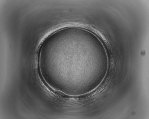X0000100951504200807011256